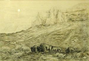 Grazing Buffalo by Ernest C. Rost