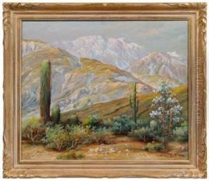 Desert At The Edge Of A Mountainpass