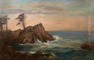 Lone Cypress On The Coast Of Monterey by Andreas Roth
