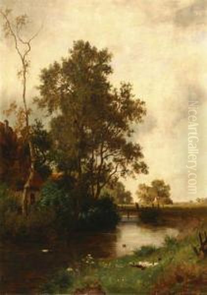 Rural Landscape With Ducks Beside A River - view 1
