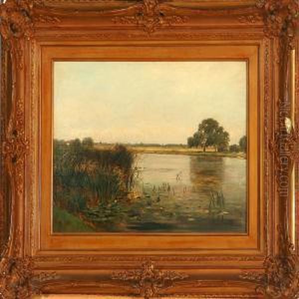 Landscape From Thenetherlands - view 1