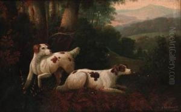 English Setters On Point - view 1