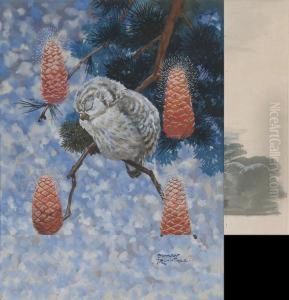 An Owl Resting On A Fir Tree by Harry Rountree
