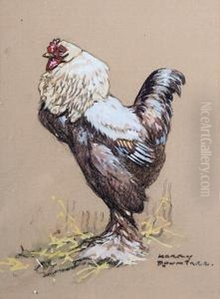 Study Of A Cockerel, Pastel And Gouache,signed Lower Right - view 1