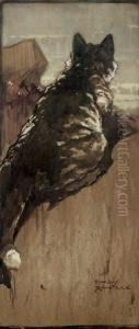 The Crouching Tabby by Harry Rountree