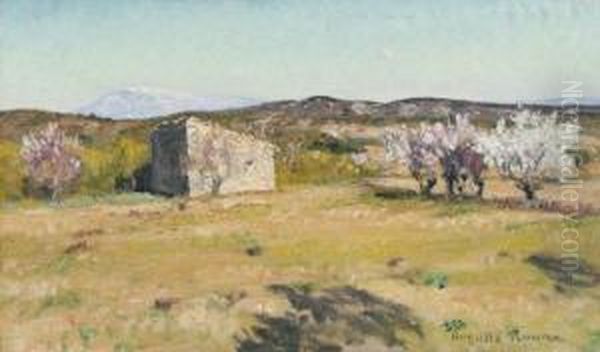 Paysage Des Alpilles - view 1