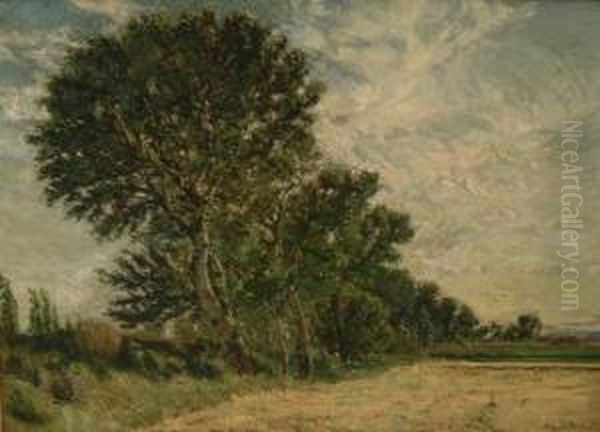 Paysage Aux Grands Arbres - view 1