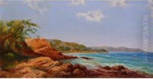 Bord De Mer En Provence