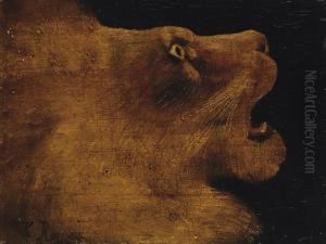 Tete De Lion