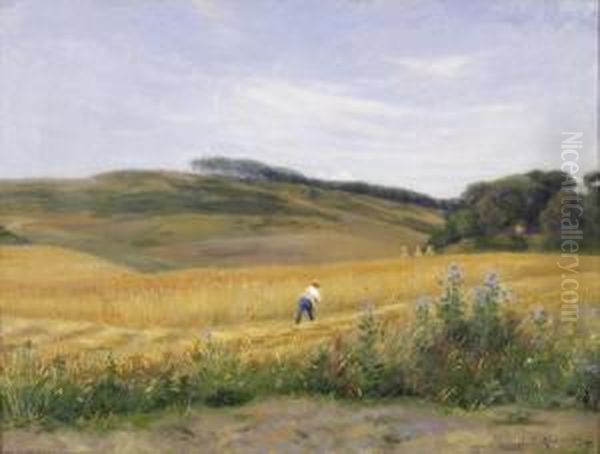 Getreidefeld Mit Mahendem Bauer - view 1