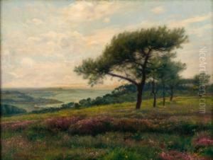 Bruyeres En Bord De Mer by Jean-Jacques Rousseau