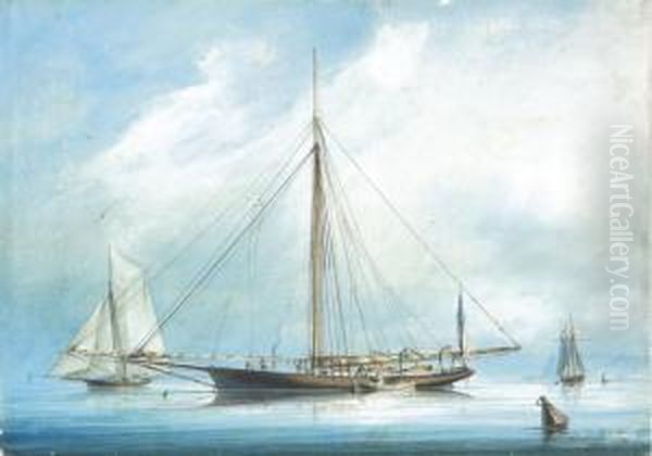 Centerboard Sloop Sylvie New York Yacht Club At Havre - view 1