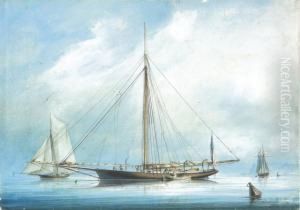 Centerboard Sloop Sylvie New York Yacht Club At Havre