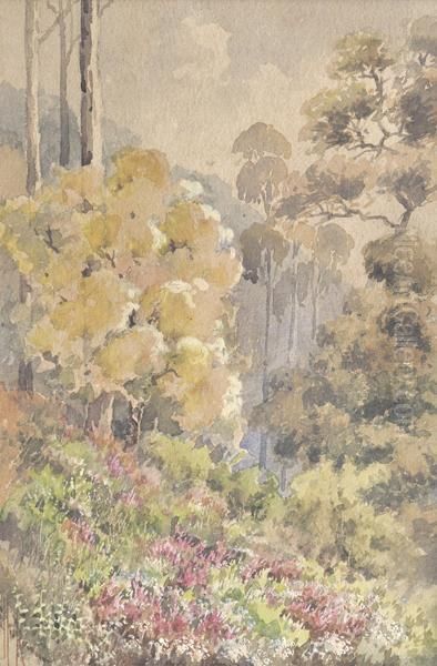 Macedon Landscape With Wildflowers - view 1