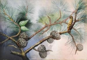 Pine Tree by Marian Ellis Rowan