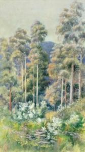 Mountain Gums by Marian Ellis Rowan