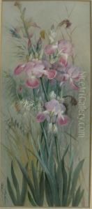 Irises by Marian Ellis Rowan