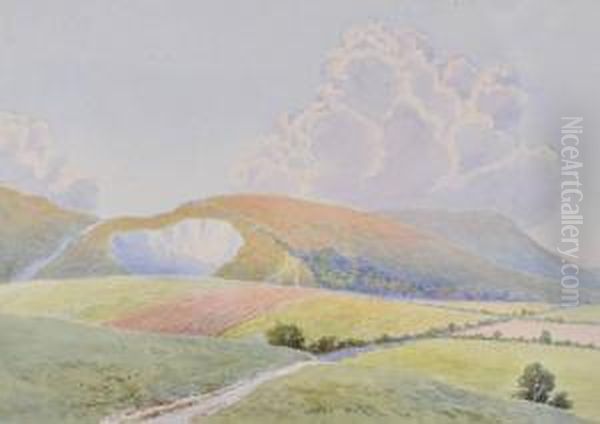 Extensive Landscape - view 1