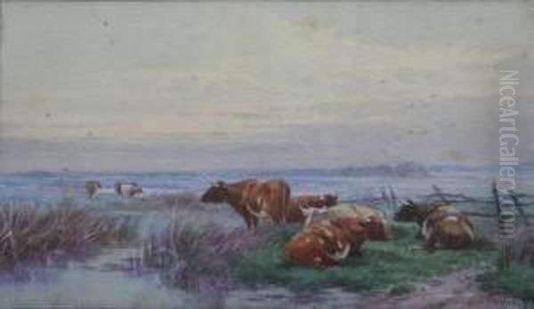 Cattle Resting At Twilight - view 1