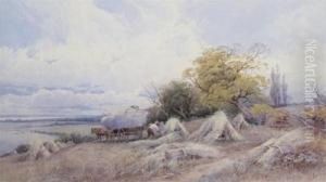 Cornfield Near Exeter by Thomas, Tom Rowden