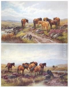 Lydford, Dartmoor, Devon by Thomas, Tom Rowden