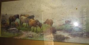 Dartmoor Ponnies by Thomas, Tom Rowden