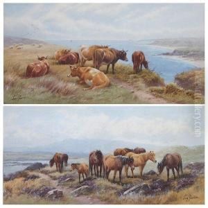 'the Valley Of The Dart, Dartmoor' by Thomas, Tom Rowden