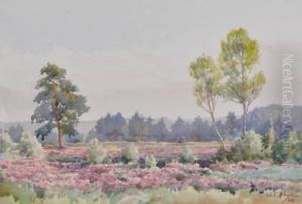 Extensive Landscape - view 1