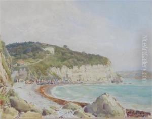 Beer Cove From The West