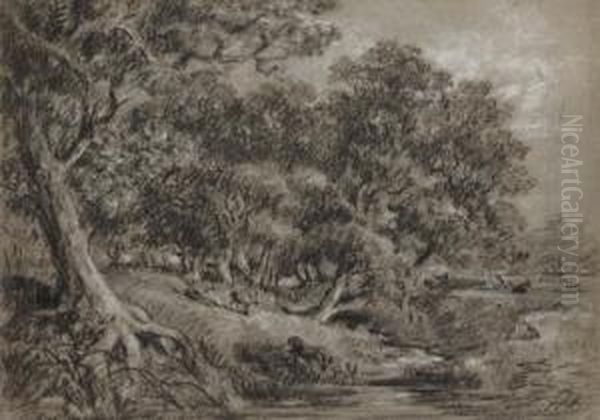 Deer Grazing In Wooded Parkland - view 1