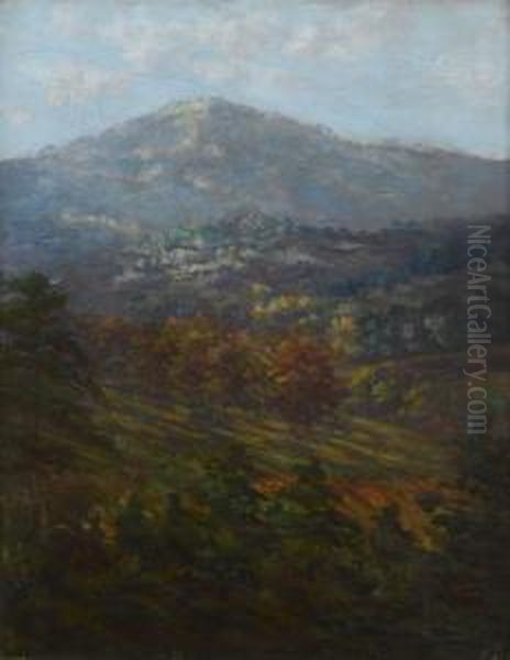 North Carolina Landscape - view 1