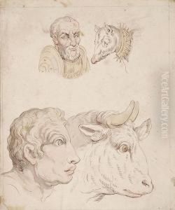 Studies Of The Heads Of A Bull by Thomas Rowlandson