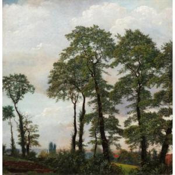 A Wooded Landscape - view 1