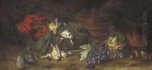 A Watermelon, Figs, Dead Birds And Grapes On The Vine In Aclearing