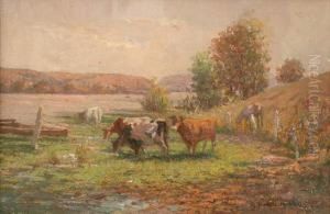 Cattle On The Nepean Hawkesbury by Anthony Datillo Rubbo