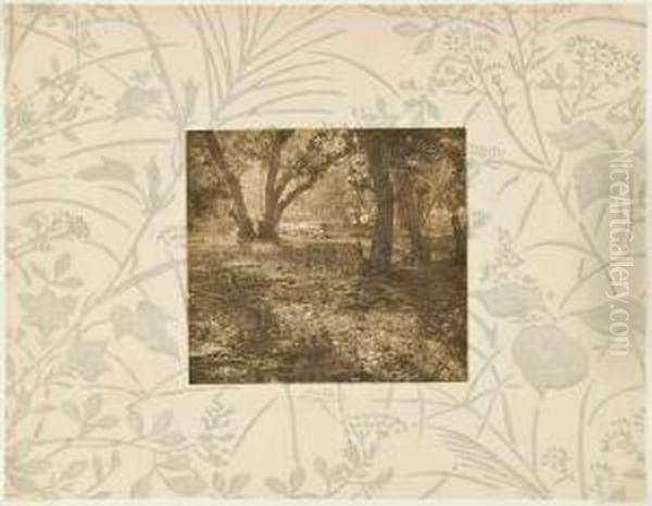 Forest Scene - view 1