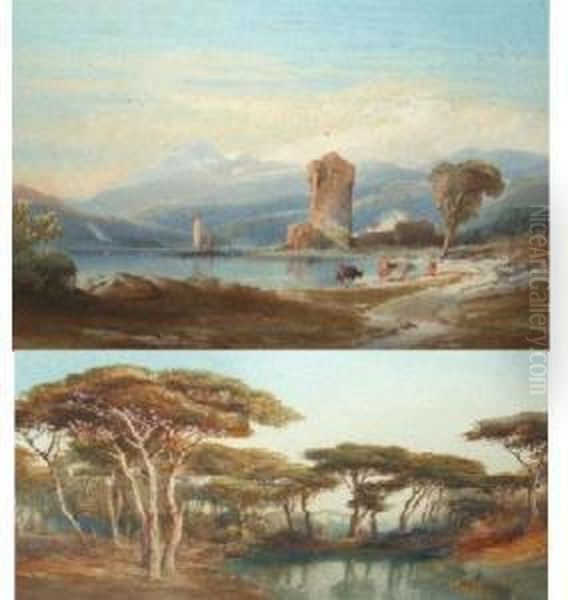 The Pineta Ravenna - view 1