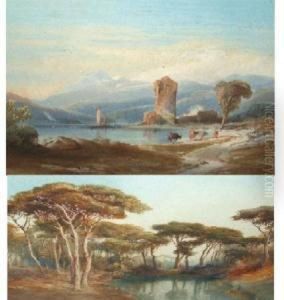 The Pineta Ravenna by Hugh Wright Rudby
