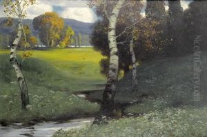 Herbstlandschaft Mit Birken An Einem Bach