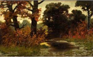 Herbstlich Verfarbte Baume Am Waldrandmit Kleinem Wassertumpel Im Spatlicht by Hermann Rudisuhli