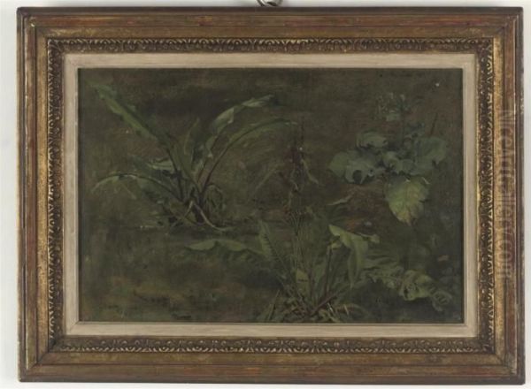 Plein Air Studies Of Plants - view 1