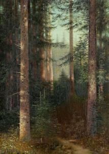 Waldweg Zwischen Baumen.