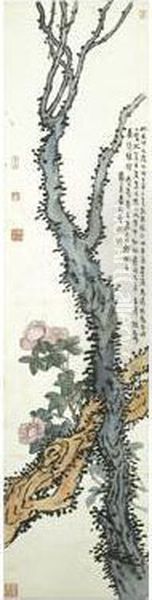 Pine Tree - view 1