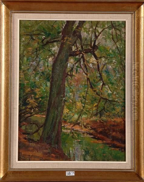 Ruisseau En Foret - view 1