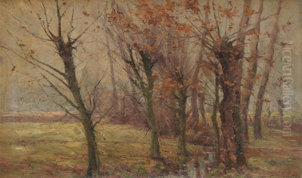 Tree Landscape Near The Water - view 1