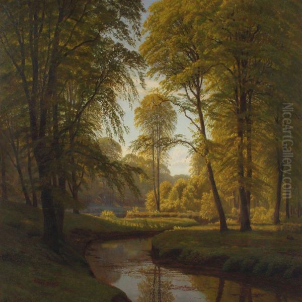 Forrest Scenery With Small Stream - view 1