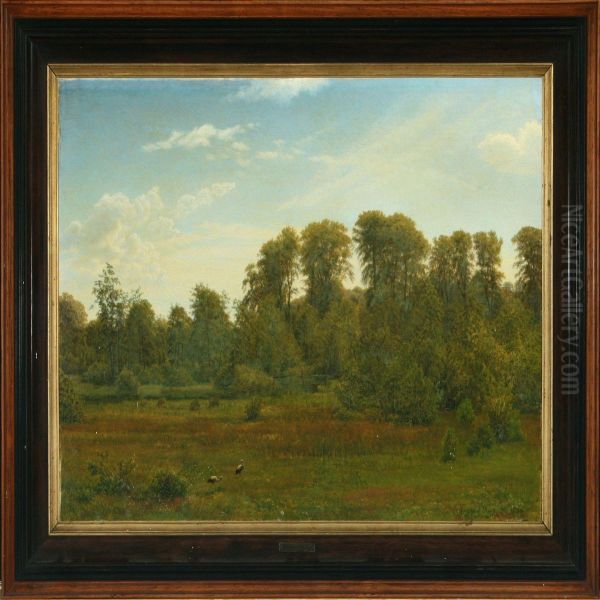 Forest Scenery Withstorks In The Meadow - view 1