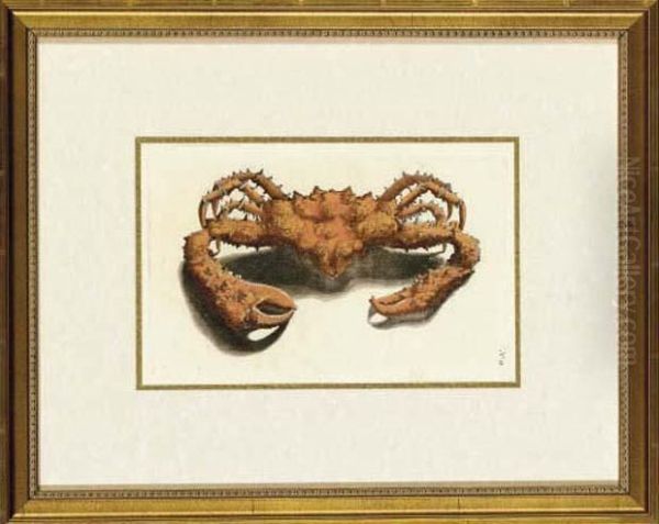 Crabs And Lobsters - view 1