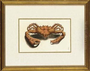 Crabs And Lobsters by Georg Eberhard Rumpf