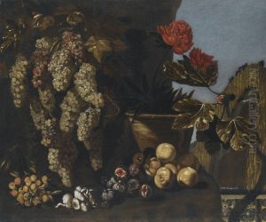 Still Life With Hanging Grapes On The Vine, Figs And Fungi In A Garden Setting
